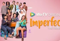 Synopsis of Imperfect The Series