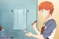 Synopsis: Today's Menu for Emiya Family