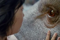 Okja Movie Synopsis: A Heartwarming Tale of Friendship Between a Young Girl and a Giant Pig