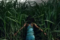 Synopsis: In the Tall Grass Movie Review