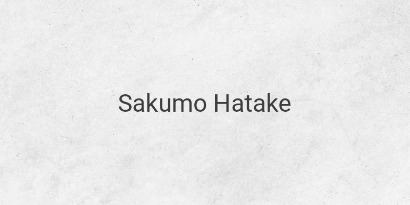 Discovering the Life and Legacy of Sakumo Hatake, Kakashi's Legendary Father