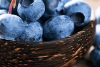 The Incredible Health and Beauty Benefits of Blueberries