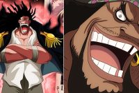 The Connection of Yonkou Blackbeard with the Legendary Pirate Crew, Rocks