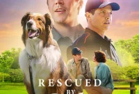 Rescued by Ruby Synopsis: A Heart-Warming True Story of a Rescued Dog
