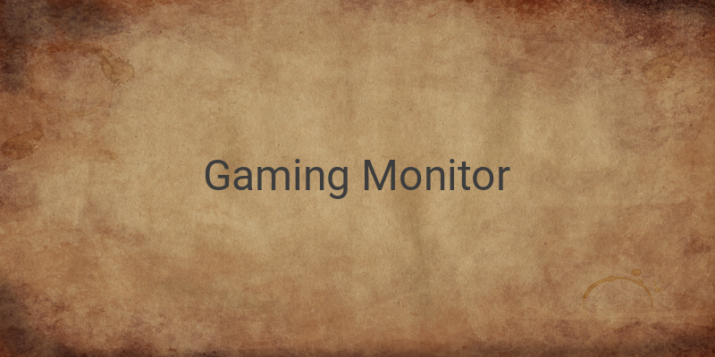 Tips for Choosing a Monitor for Gaming on PC