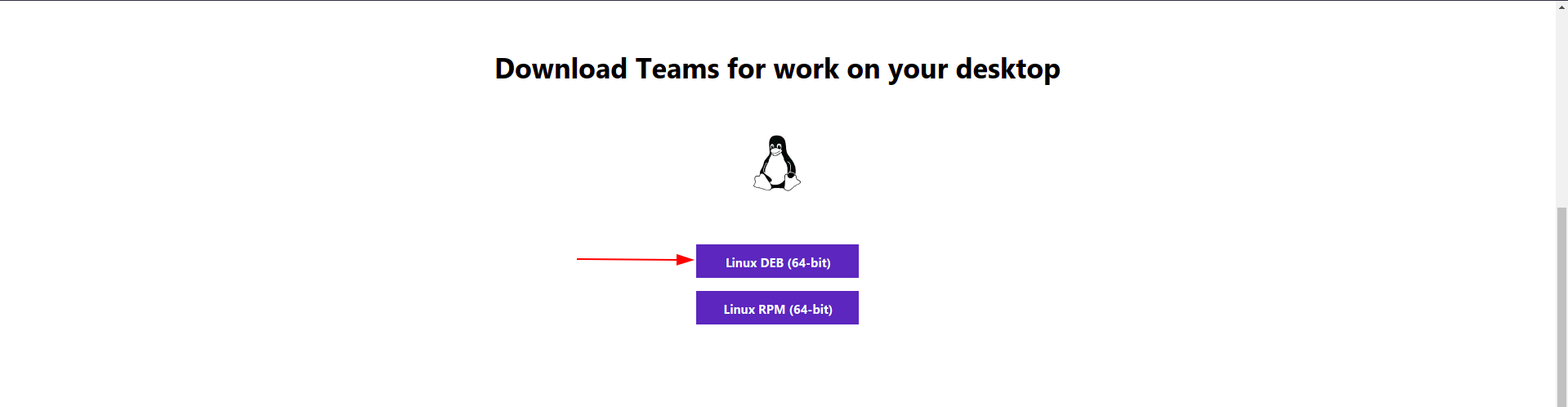 A Step by Step Guide on Installing Microsoft Teams on Ubuntu 20.04