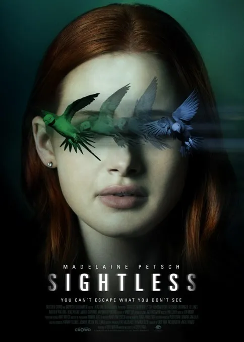Sightless: A Gripping and Mysterious Synopsis