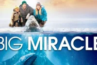Synopsis of Big Miracle (2012) - The Struggle to Save Trapped Whales
