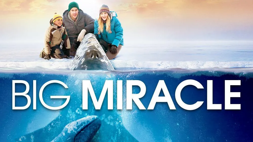 Synopsis of Big Miracle (2012) - The Struggle to Save Trapped Whales