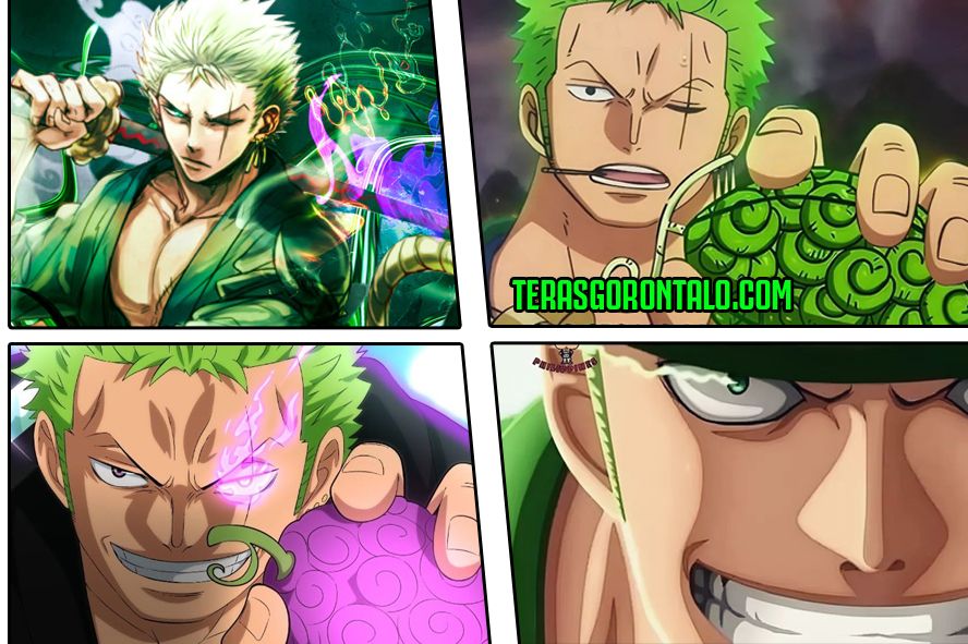 Questions & Mysteries - What devil fruit would suit Zoro?