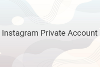 How to View Instagram Private Account Posts in 2022