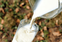 15 Amazing Health and Beauty Benefits of Bear Milk