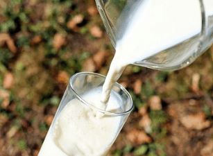 15 Amazing Health and Beauty Benefits of Bear Milk