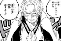 One Piece Chapter 1082 Reveals Shocking New Facts!