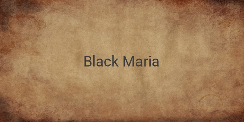 9 Interesting Facts About Black Maria in One Piece
