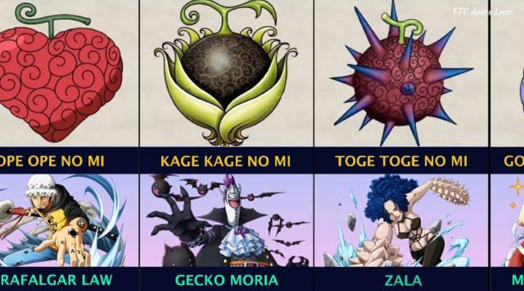 The Powerful One Piece Devil Fruits And Their Weakness VISADA ME