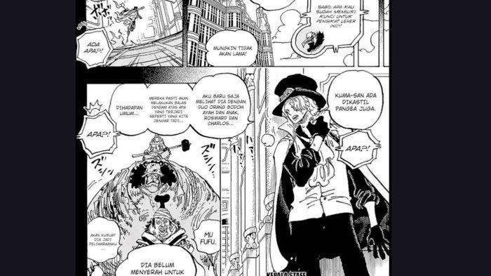 One Piece Chapter 1084 Spoiler Alert: Who Killed Nefertari Cobra?