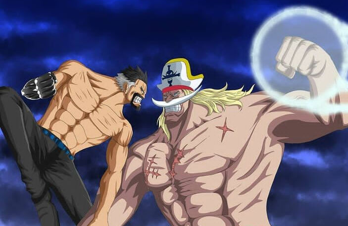 The Strongest Characters in One Piece: Shirohige vs Garp