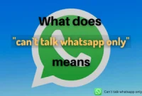 Understanding the Meaning and Importance of “Can’t Talk Whatsapp Only”