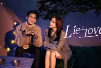 Synopsis of Lie To Love: A Tale of Misleading Revenge