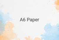 Understanding the Size and Usage of A6 Paper