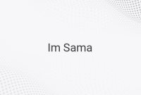 Unveiling the Mystery of the Mysterious Character Im Sama in One Piece