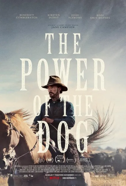Synopsis: The Power of the Dog