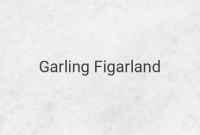 Garling Figarland: The Powerful Government Executor who Trained Garp and Sengoku