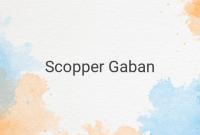 Scopper Gaban: Luffy's Mysterious Mentor with Powerful Observation Haki