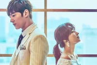 Devilish Joy: A Unique and Complicated Love Story with Choi Jin Hyuk and Song Ha Yoon