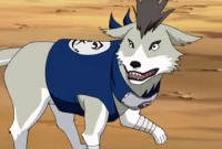 The Crucial Roles of Kakashi Hatake's Ninken Dogs in Naruto