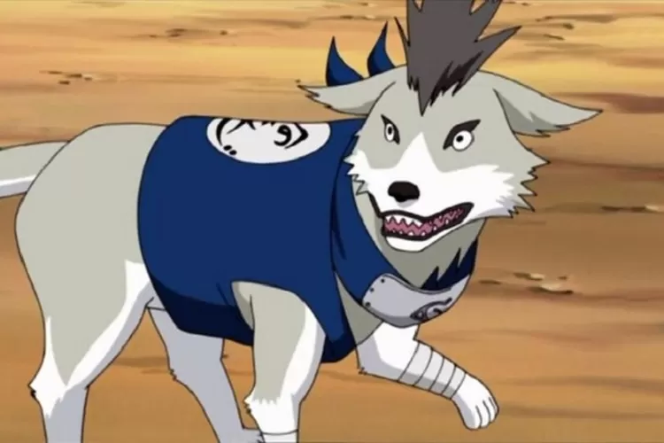 The Crucial Roles of Kakashi Hatake's Ninken Dogs in Naruto
