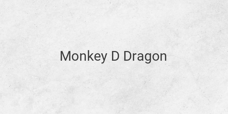 Monkey D Dragon's Missions at Kurohige's Base Revealed in One Piece 1092