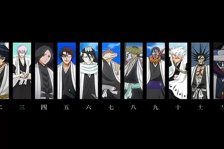 Top Shinigami Characters in Bleach: Fanbook BLADEs 13 Poll Results