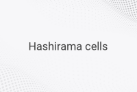 Unlocking the Power: The Benefits and Usage of Hashirama Cells in Naruto and Boruto Series