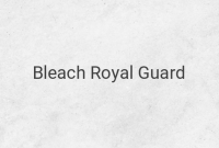 Unleashing the Power: Exploring the Rankings and Abilities of the Bleach Royal Guard