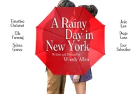 A Rainy Day in New York: A Romantic Comedy-Drama Set in the Vibrant Backdrop of New York City