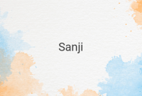 The Iconic Character Sanji: Facts, Dreams, and Background in One Piece