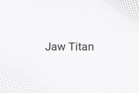 The History and Characteristics of the Jaw Titan in Attack on Titan