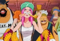 The Revealing of Jewelry Bonney's True Age and Heritage in One Piece Manga